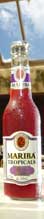 Mariba Tropicals cooler BERRY